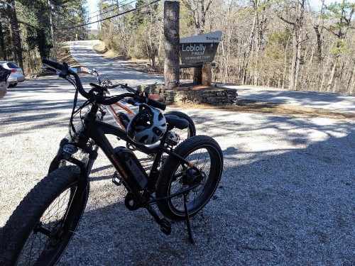 Loblolly Pines Adventure Cabin 2 King - image 5