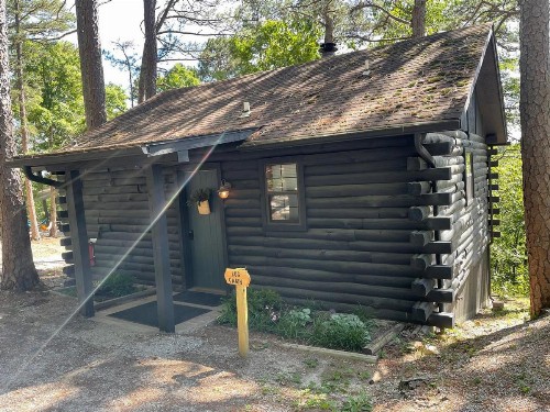 Loblolly Pines Adventure Log Cabin - image 1