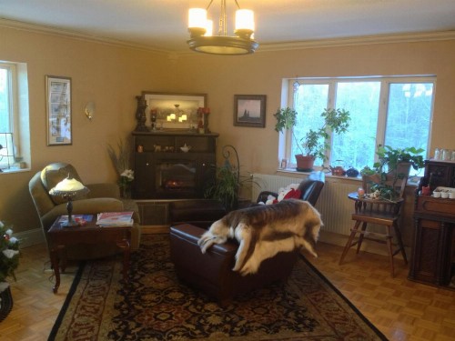Alaska Grizzly Lodge - image 3