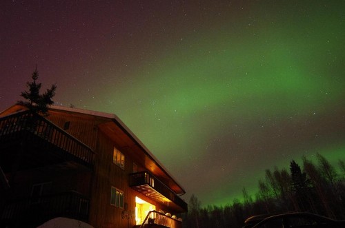 Alaska Grizzly Lodge - image 4