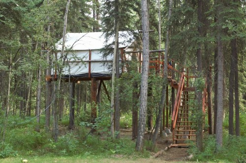 Sven's Basecamp Hostel - image 10