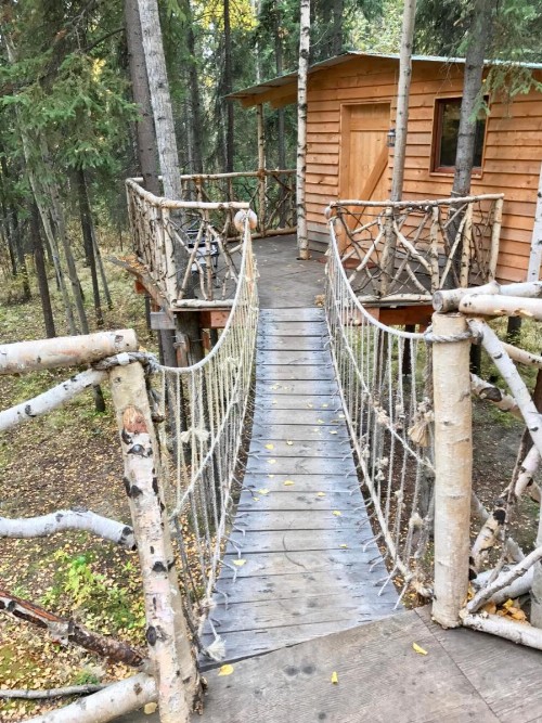 Sven's Basecamp Hostel - image 48