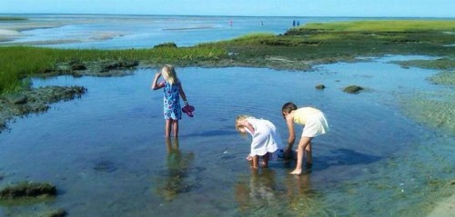 Woods Hole Passage Bed & Breakfast Inn