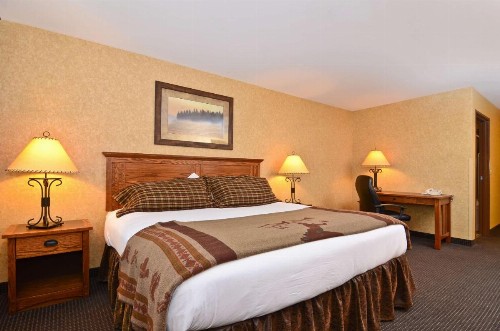 Best Western Plus Kelly Inn and Suites - image 44