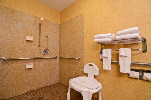 Best Western Plus Kelly Inn and Suites - image 46