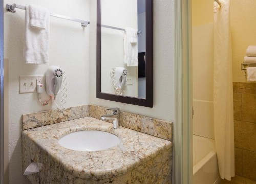 Fargo Inn and Suites - image 28