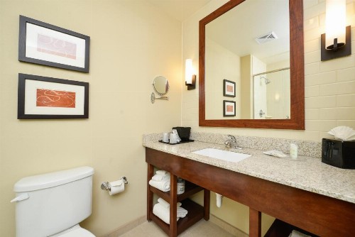 Comfort Suites Medical Center - image 11