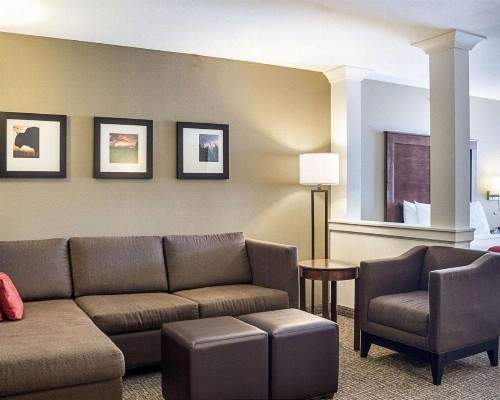 Comfort Suites Medical Center - image 13