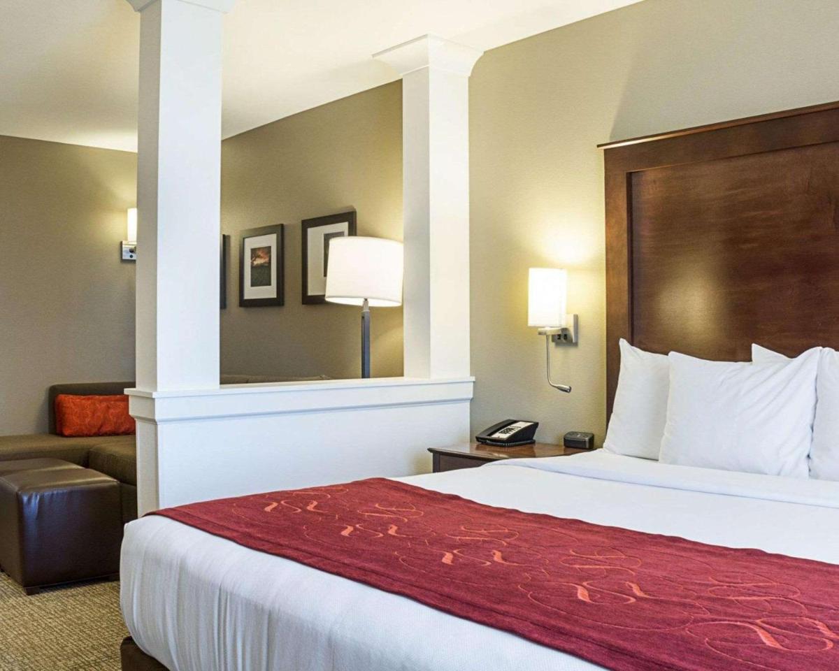 Comfort Suites Medical Center - image 6
