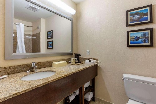 Comfort Inn Fayetteville I-95 - image 6