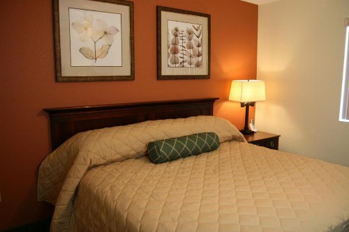 Affordable Suites - Fayetteville/Fort Bragg - image 6