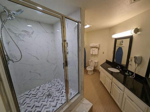 Best Western Windsor Suites - image 34