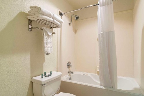 Best Western Windsor Suites - image 6