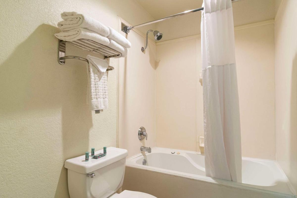 Best Western Windsor Suites - image 6