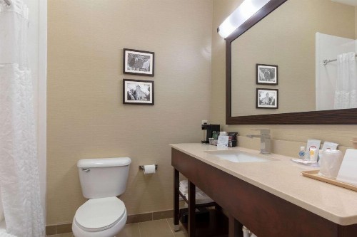 Comfort Inn & Suites Fayetteville-University Area - image 16