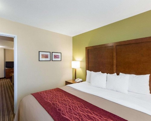Comfort Inn & Suites Fayetteville-University Area - image 26