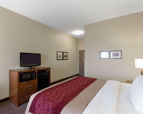 Comfort Inn & Suites Fayetteville-University Area - image 28