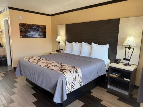 Regency 7 Motel - image 11