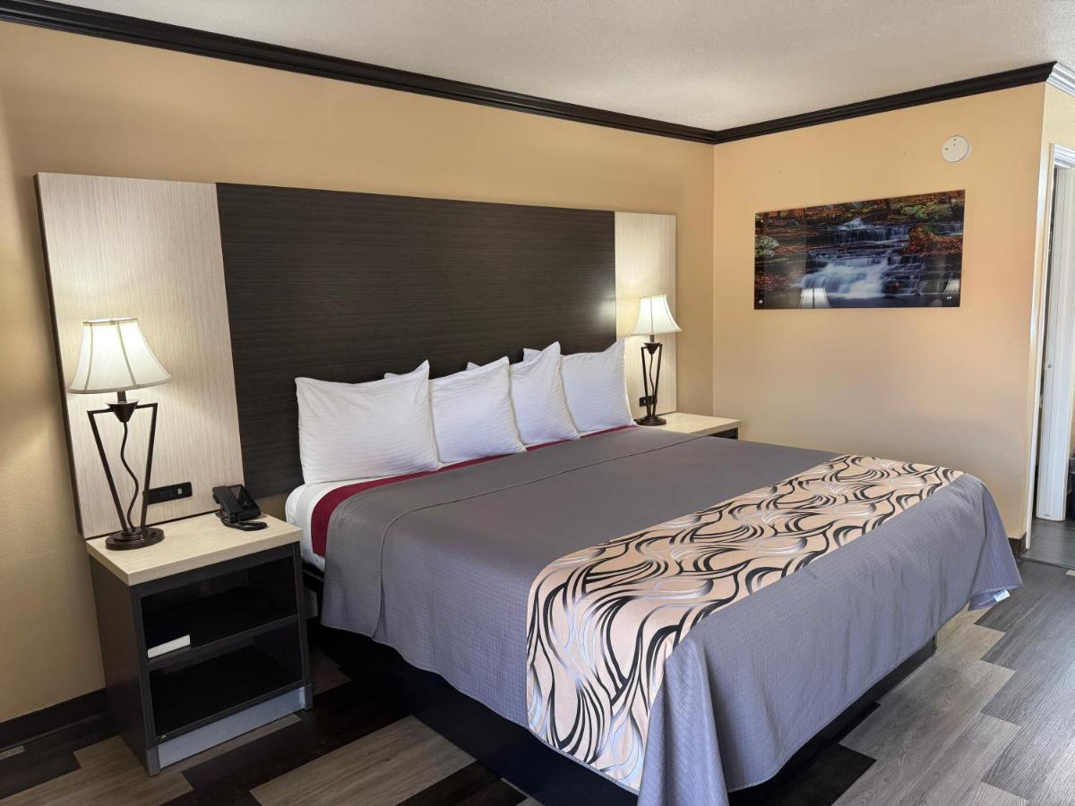 Regency 7 Motel - image 2