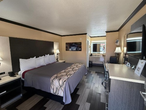 Regency 7 Motel - image 7