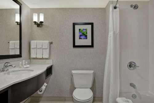 Hilton Garden Inn and Fayetteville Convention Center - image 13