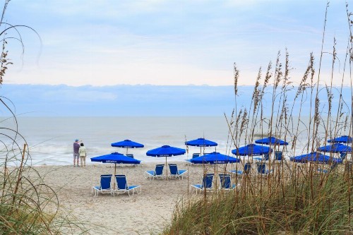 Seaside Amelia Inn - Amelia Island - image 26