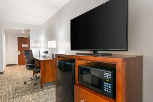Comfort Suites Fernandina Beach at Amelia Island - image 14