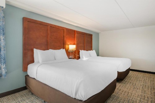 Comfort Suites Fernandina Beach at Amelia Island - image 36