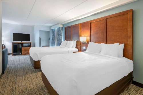 Comfort Suites Fernandina Beach at Amelia Island - image 39