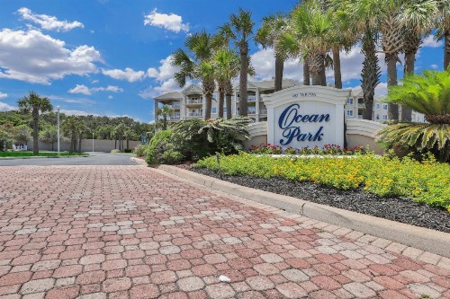 Ocean Park - image 6