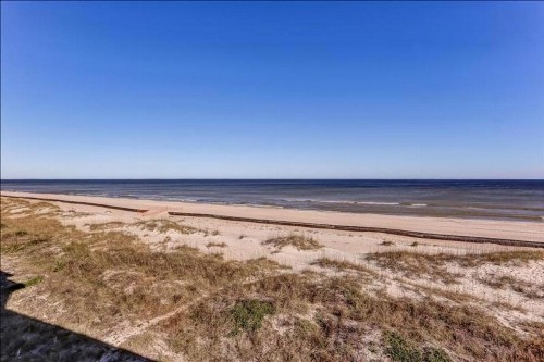 Coral Sands - image 10