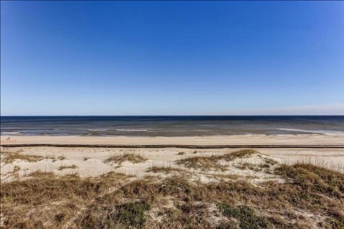 Coral Sands - image 18