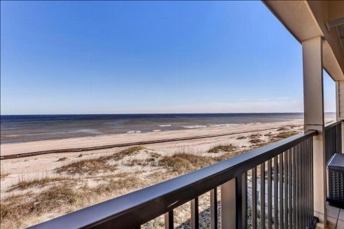 Coral Sands - image 8