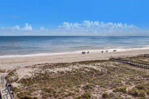 Amelia South - image 25
