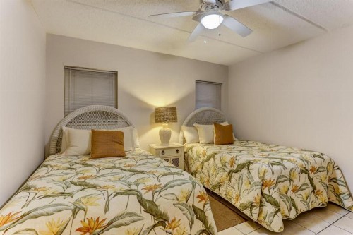 Amelia South - image 36