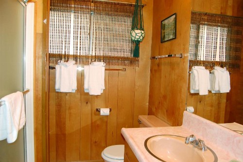 28 Raccoon's End - image 8