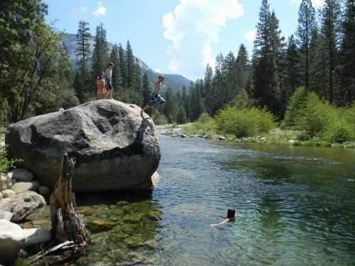 Wawona Glade - image 26