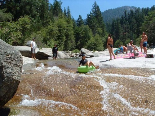 Wawona Glade - image 27