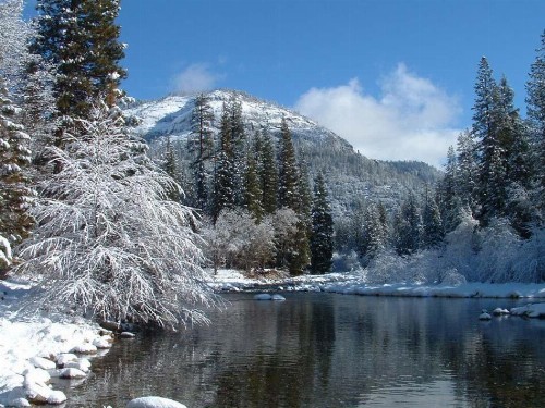 Wawona Glade - image 28