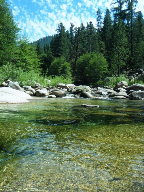 39 River Song - image 10