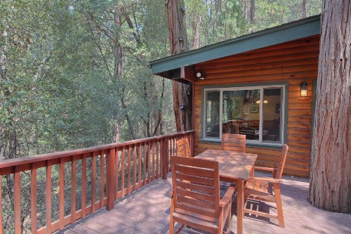 1L The Tree House - image 6