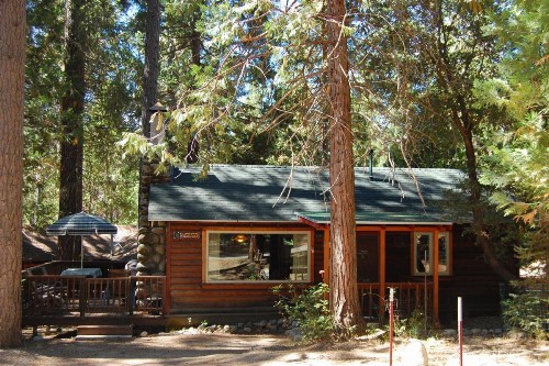 18 Le Fawn - image 4