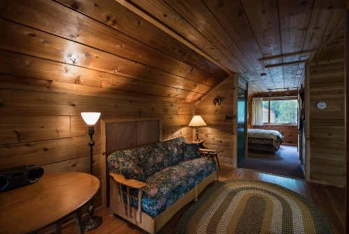 37 Wapiti - image 7