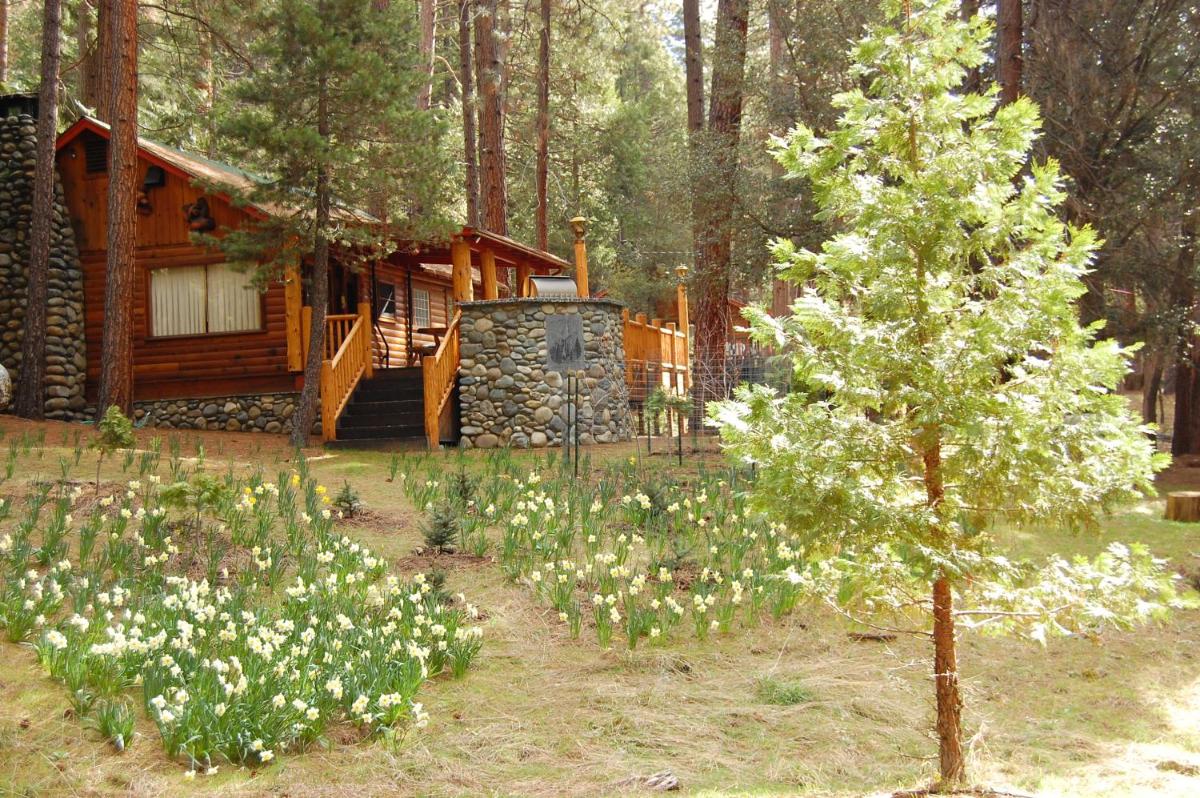 52 Tuolumne Meadow - image 2