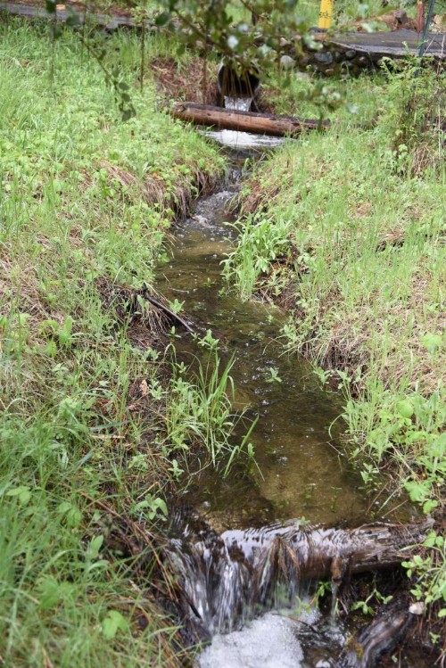 52 Tuolumne Meadow - image 3