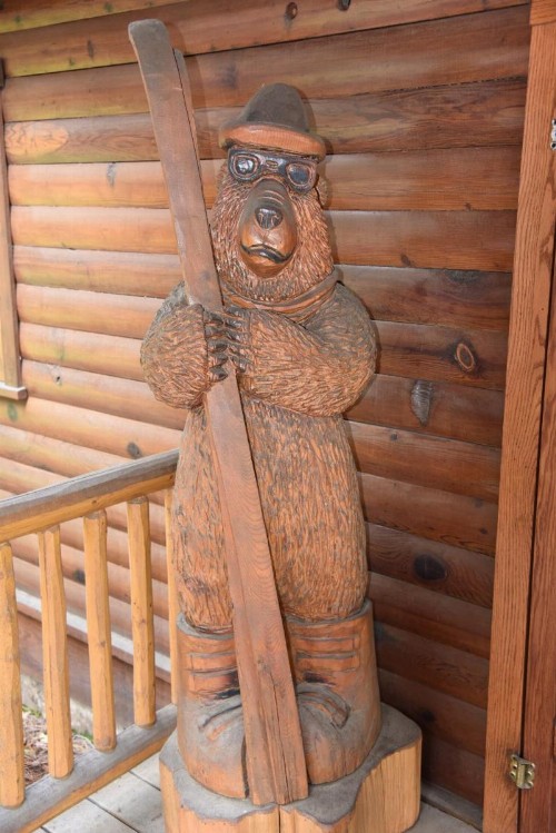 52 Tuolumne Meadow - image 6