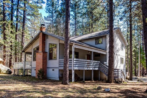 1 Cabin Among the Firs