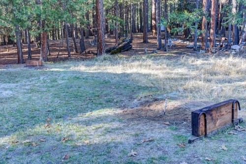 81 Ashbaugh Meadow - image 12