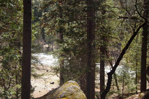 10N Black Oak Lodge - image 5