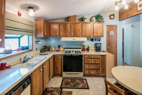 Yosemite Cabin - image 3